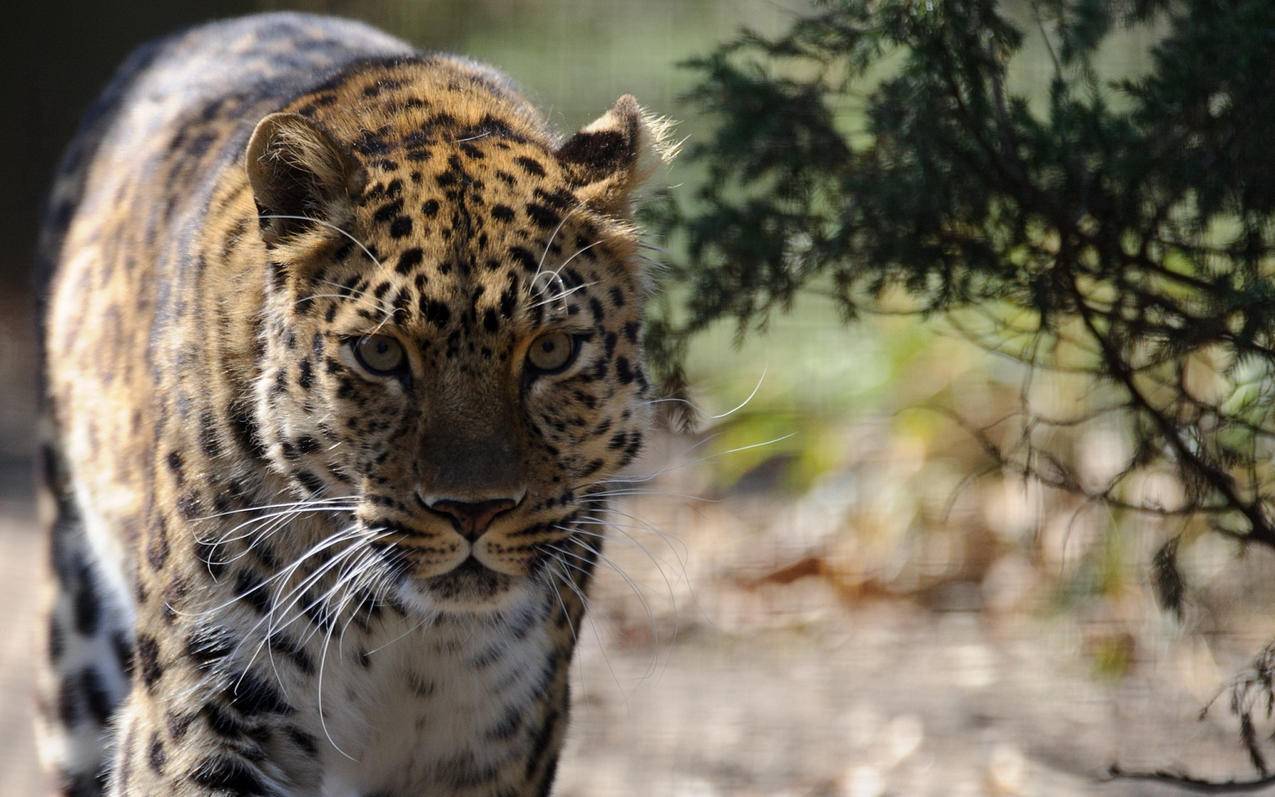 买快手粉丝10元一万 - 哔哩哔哩免费点赞,快手刷赞,B站秒刷业务平台,哔哩哔哩低价下单