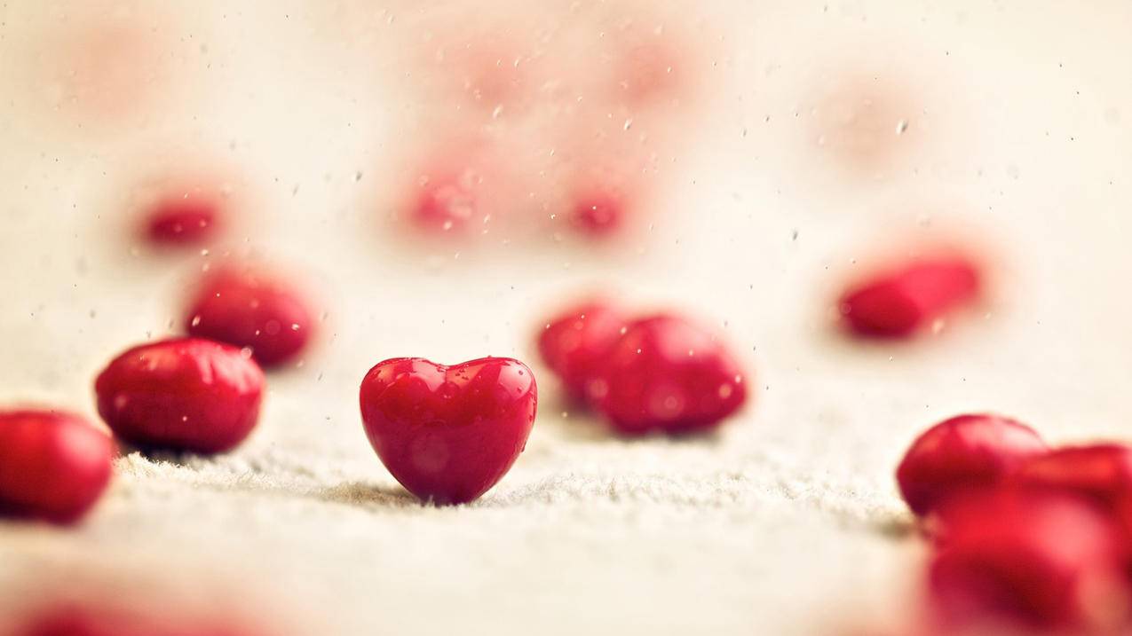 油管上有意思的号_油管有意思吗 - youtube相关 - 55dz账号网