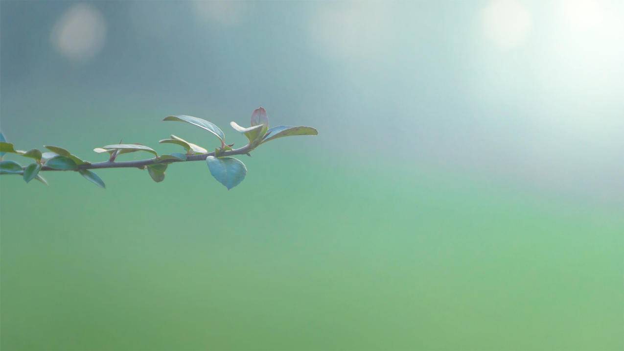 欧美男头像ins高级质感男头_好看的头像欧美高级ins男 - INS相关 - 55dz账号网