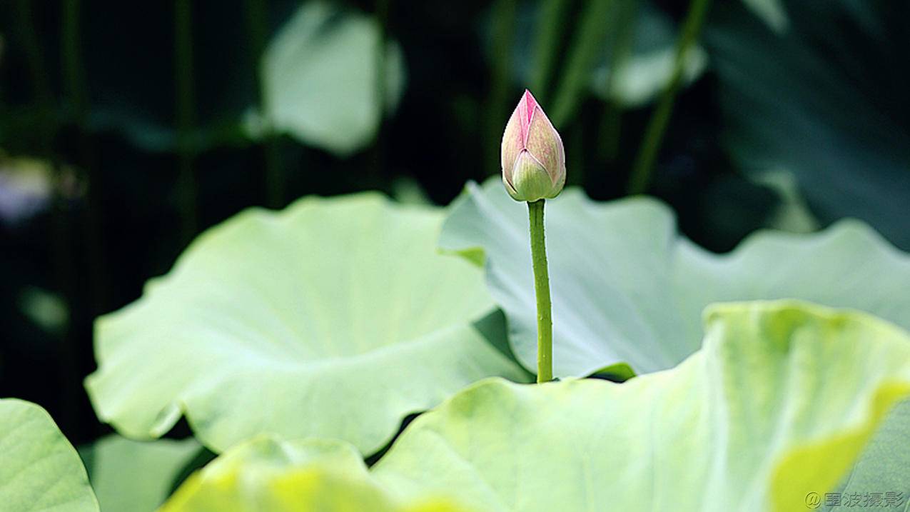 苹果id付款方式无效是怎么回事 ， 为什么我的Apple ID付款方式总被拒绝呢?  - 55dz账号网