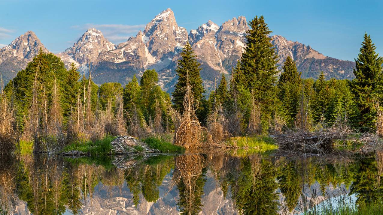 耐克zoomgtjump拆解_耐克zoomgtrun拆解 - zoom相关 - 55dz账号网