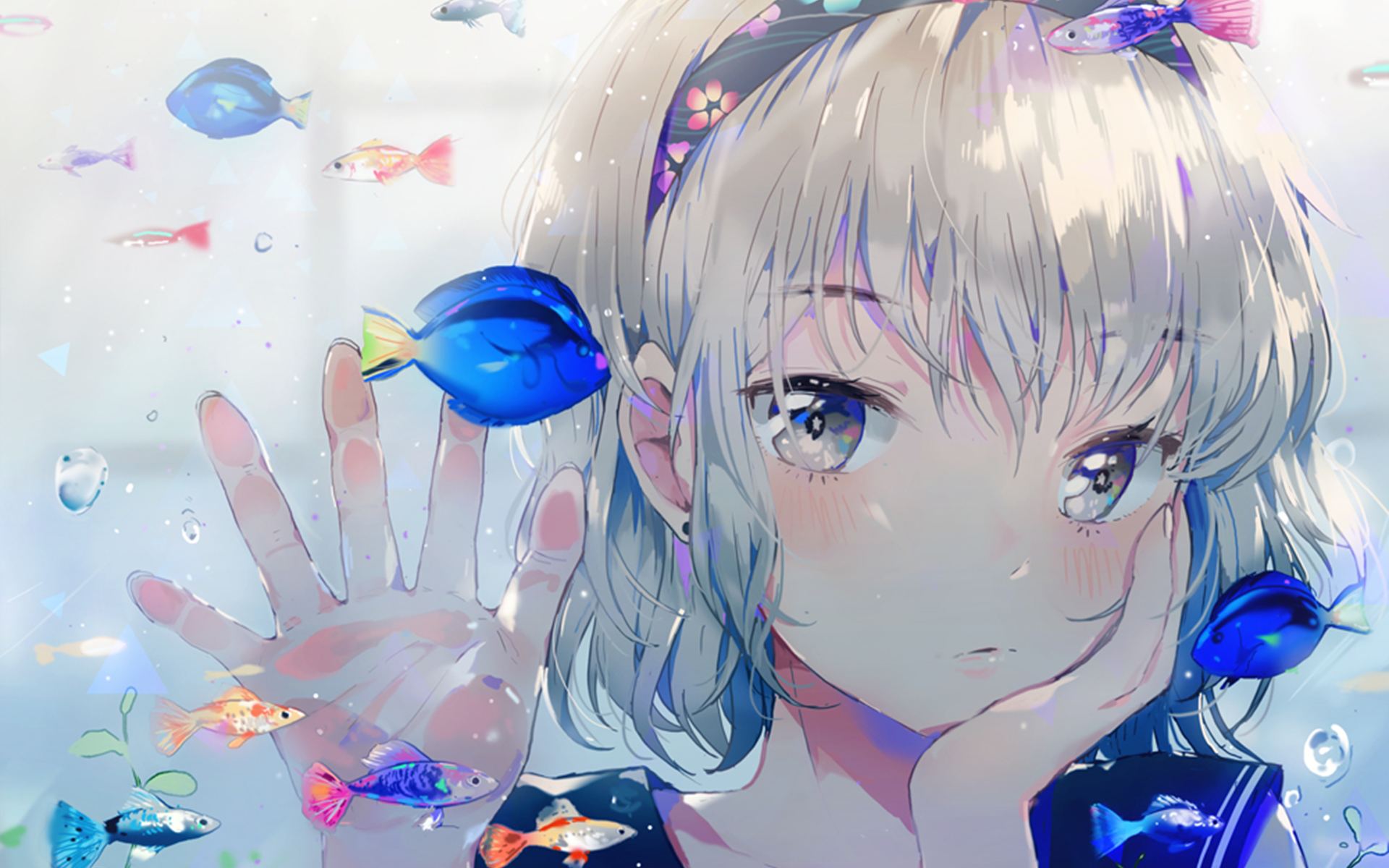 3种方法来创建iCloud账号  ( 苹果ID用手机号注册的格式是什么? ) - 55dz账号网