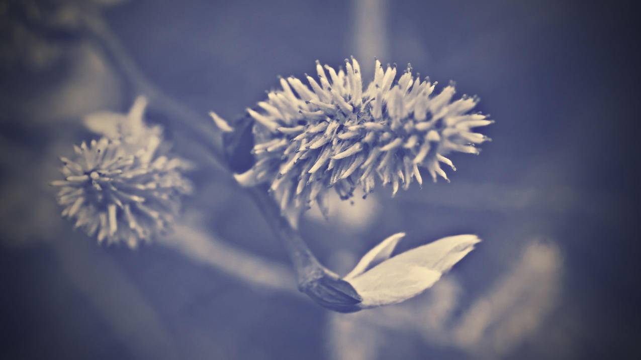 0.1元一万空间人气 - 光速代刷网快手,低价快手赞,快手刷赞网站平台