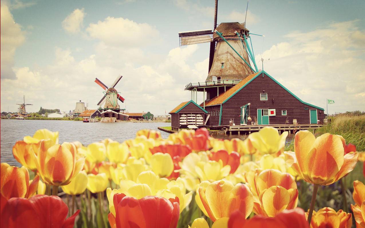 快手双击在线下单 - 快手刷点赞神器,刷快手点赞网网址