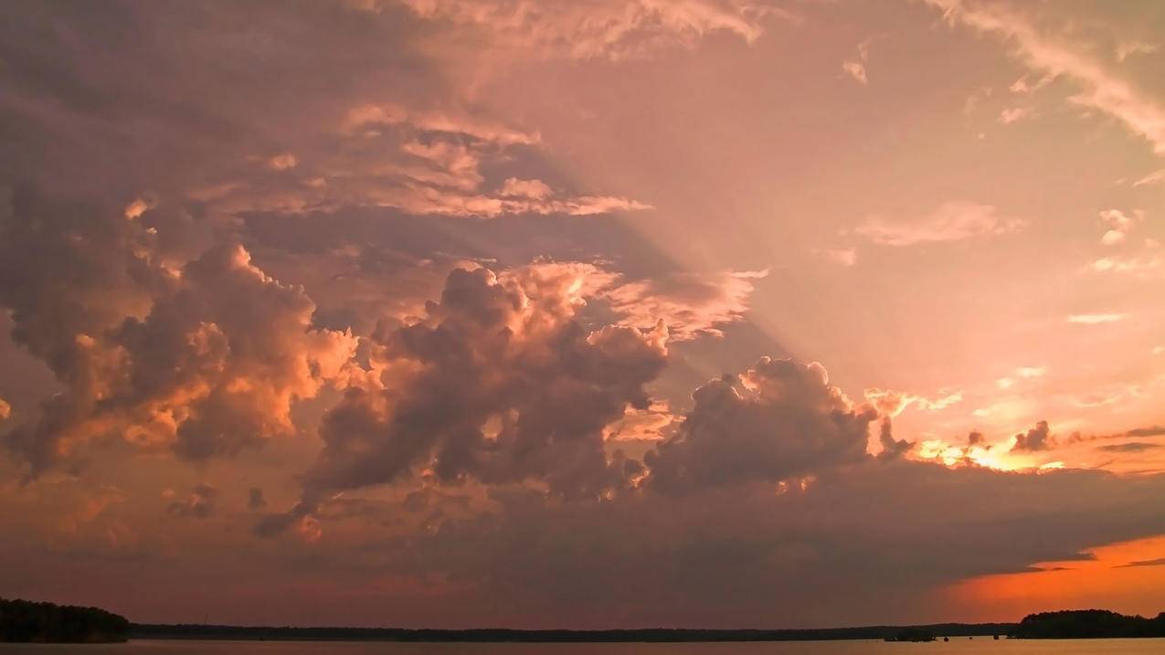 油管app翻译功能_油管app翻译功能怎么用 - youtube相关 - 55dz账号网