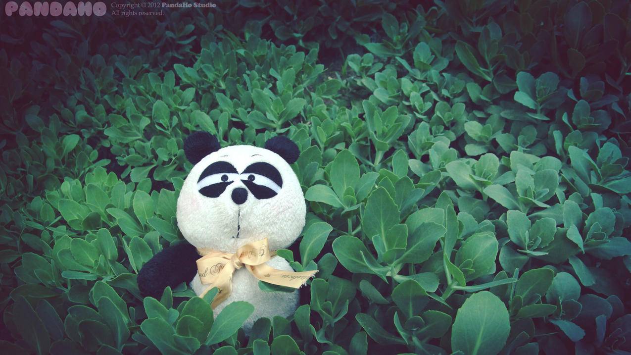 申请越南苹果id用邮箱和电话号码有什么区别（苹果注册id用电话号码还是邮箱） - 各区苹果ID - 55dz账号网