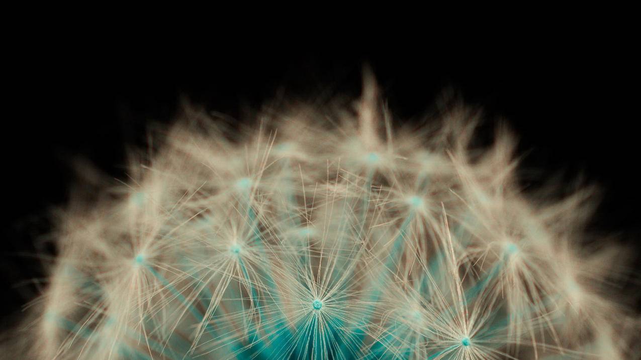 facebook无法给别人发信息_facebook怎么不能发消息 - facebook相关 - 55dz账号网