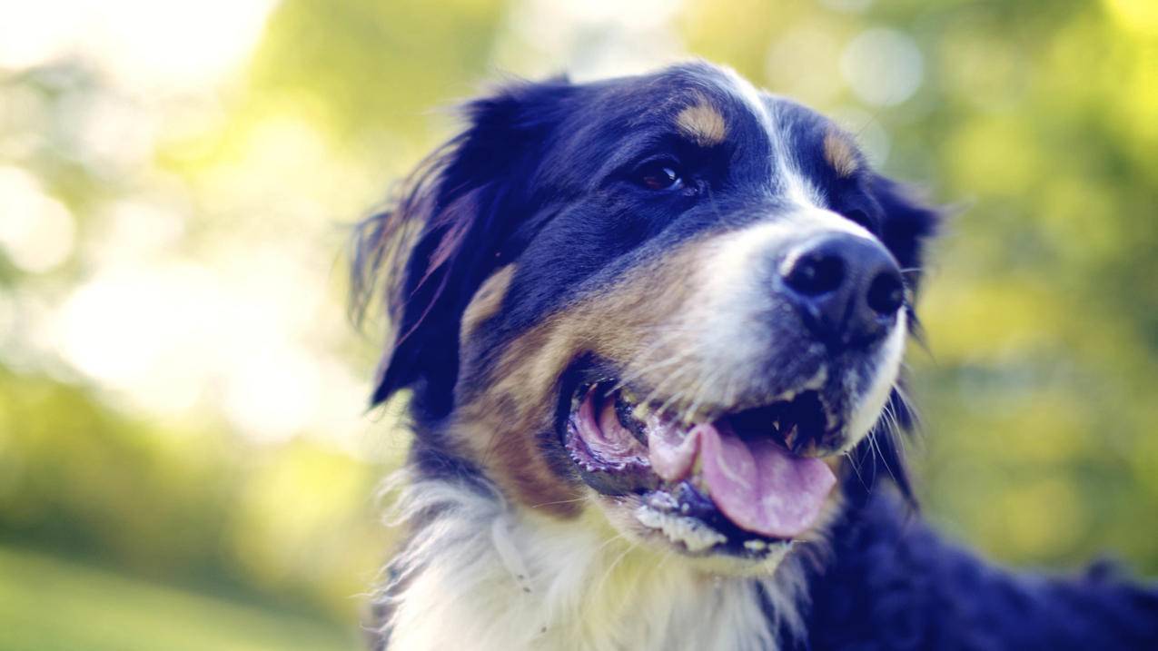 英国iTunes store账号自助出售平台[在线购买独家安全技术]_海外appleid