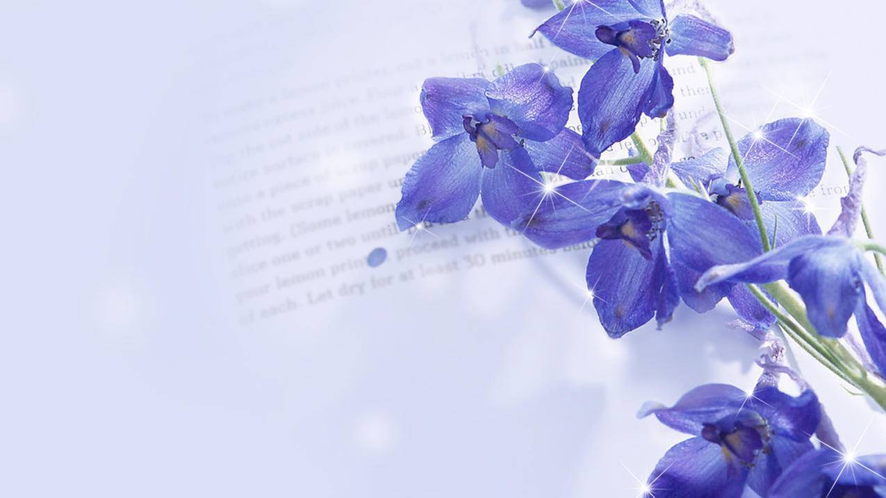 AppleStore在线商店新增AppleCard专用支付选项 - Apple ID相关 - 55dz账号网