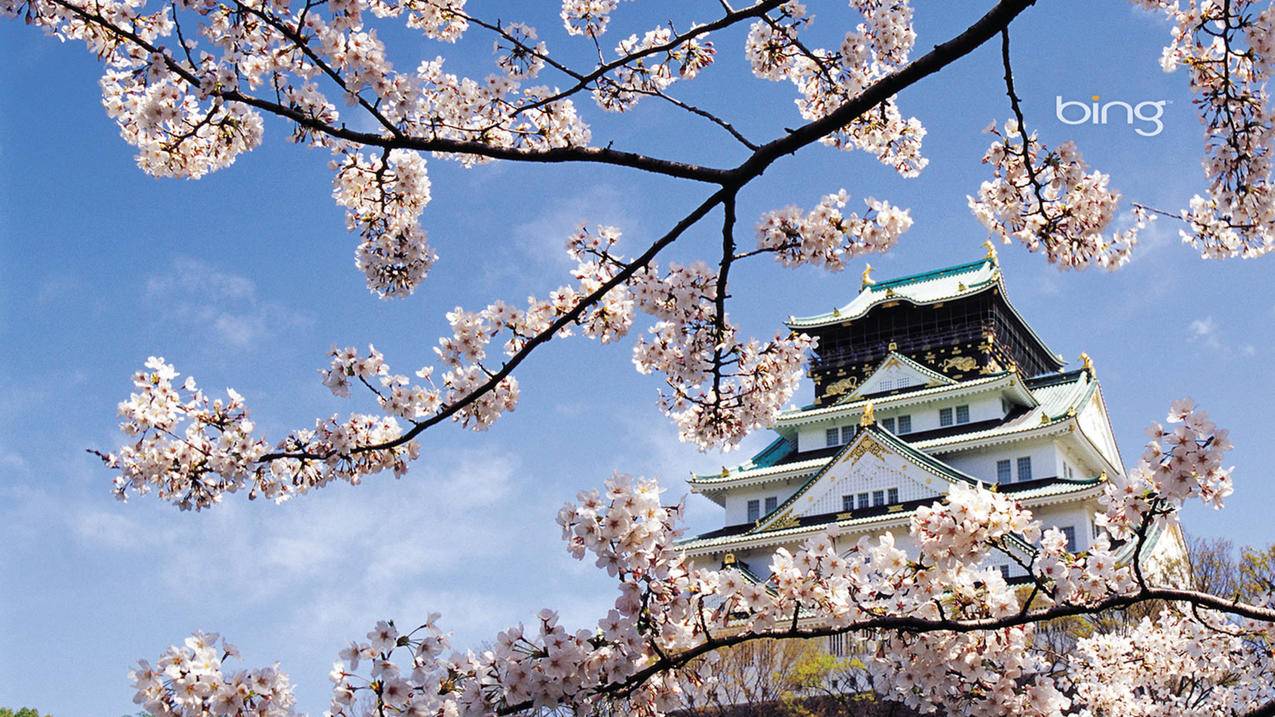 谷歌邮箱注册日本苹果id收不到验证码_谷歌注册账号号码无法验证 - 日本苹果ID - 55dz账号网