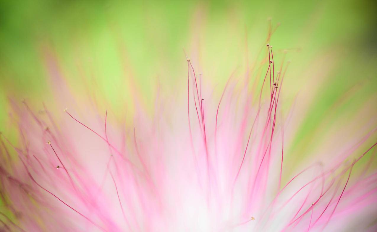 面向ar的googleplay服务1.25_面向ar的googleplay服务下载闪退 - google相关 - 55dz账号网