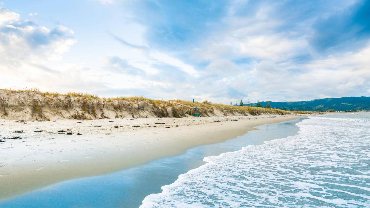 千川如何看对手人群？ - 低价业务 - dy业务网