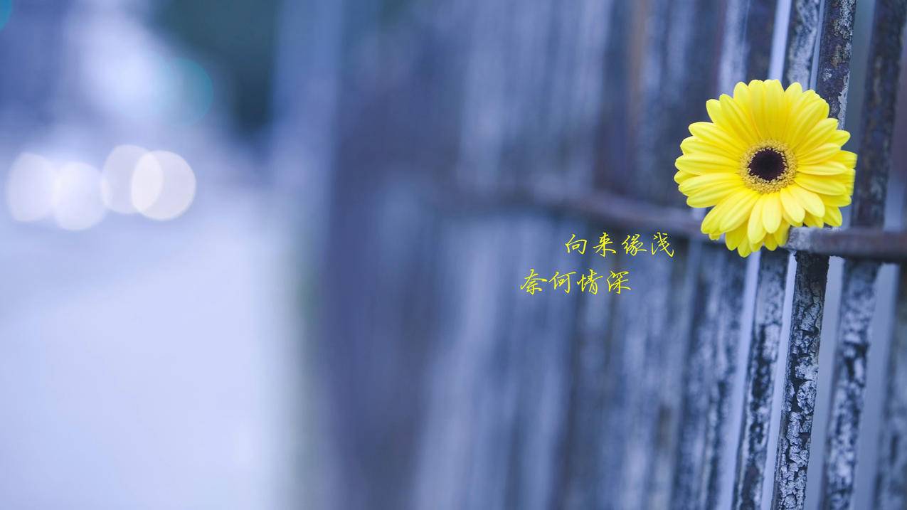 怎么让ipad和iphone不同步照片 ， 使用同一个Apple ID账号的两台手机怎么设置不同步相册和资料  - 55dz账号网