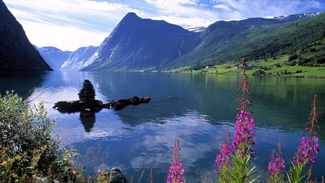 抖音粉丝增加 - 刷抖音赞24小时自助下单-qq刷空间说说赞秒刷-球球大作战刷人气的链接