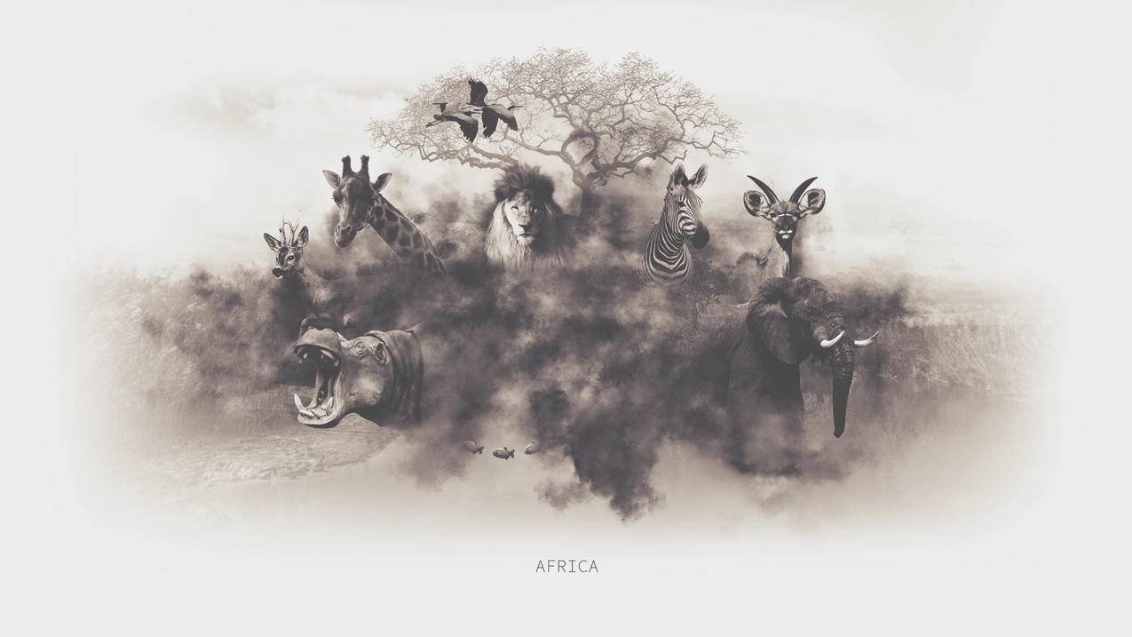 国外抖音tiktok怎么用_国外抖音tiktok怎么用可以发布吗 - 苹果APP下载 - 55dz账号网