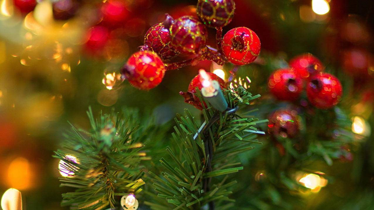 如何新增千川账号？ - dy业务 - 蘑菇业务网