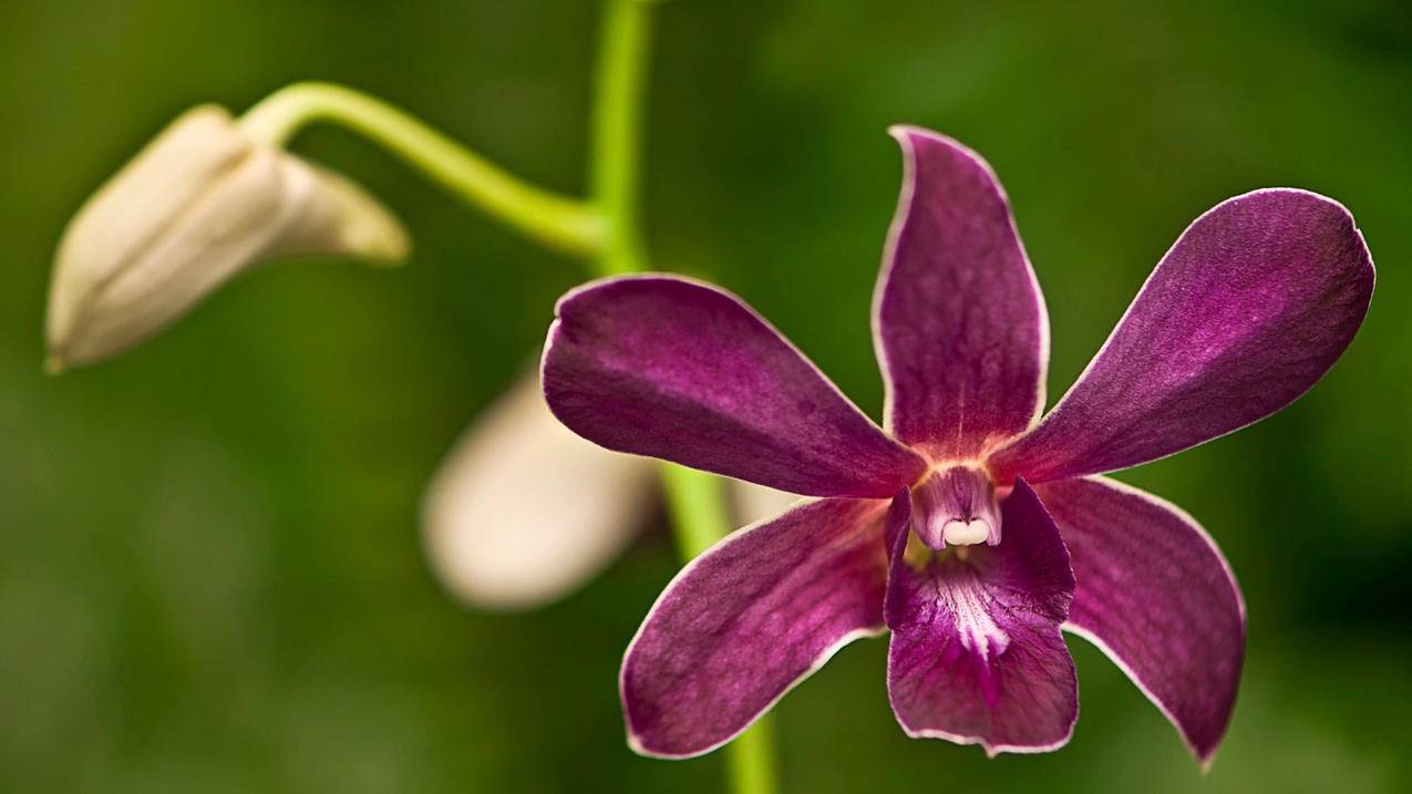 gmail邮箱前缀修改_gmail改邮箱地址 - gmail相关 - 55dz账号网