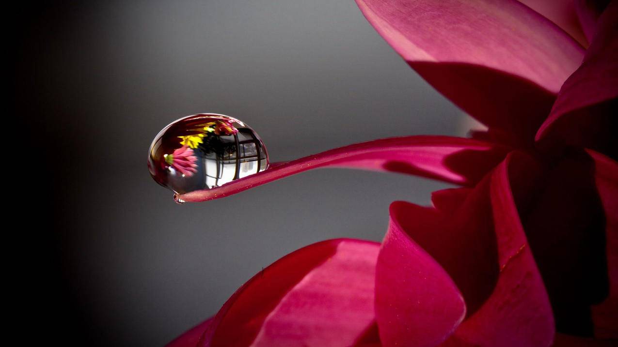 微博粉丝全网最低自助下单平台 - qq刷赞的 qq号,快手免费刷赞网站在线