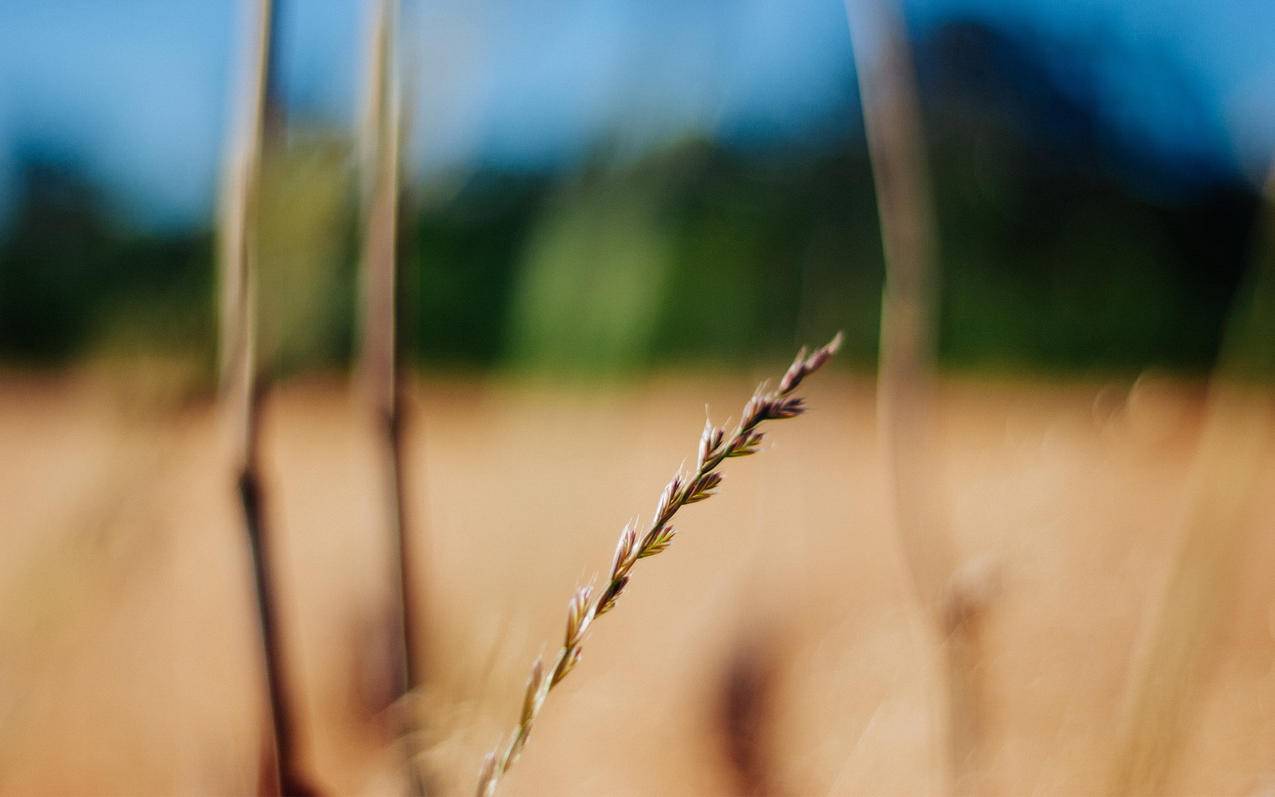 大陆注册推特账号_大陆注册推特账号安全吗 - tw相关 - 55dz账号网