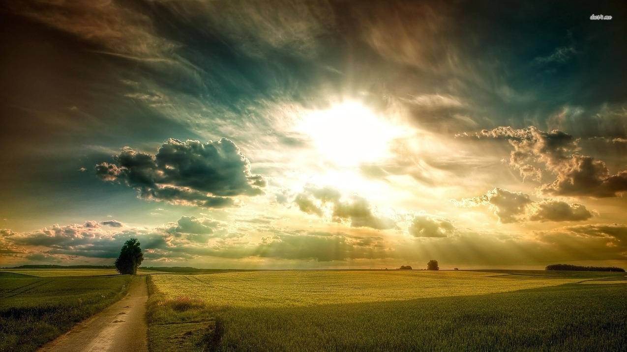 拒绝拼多多砍价怎么说-dy业务网