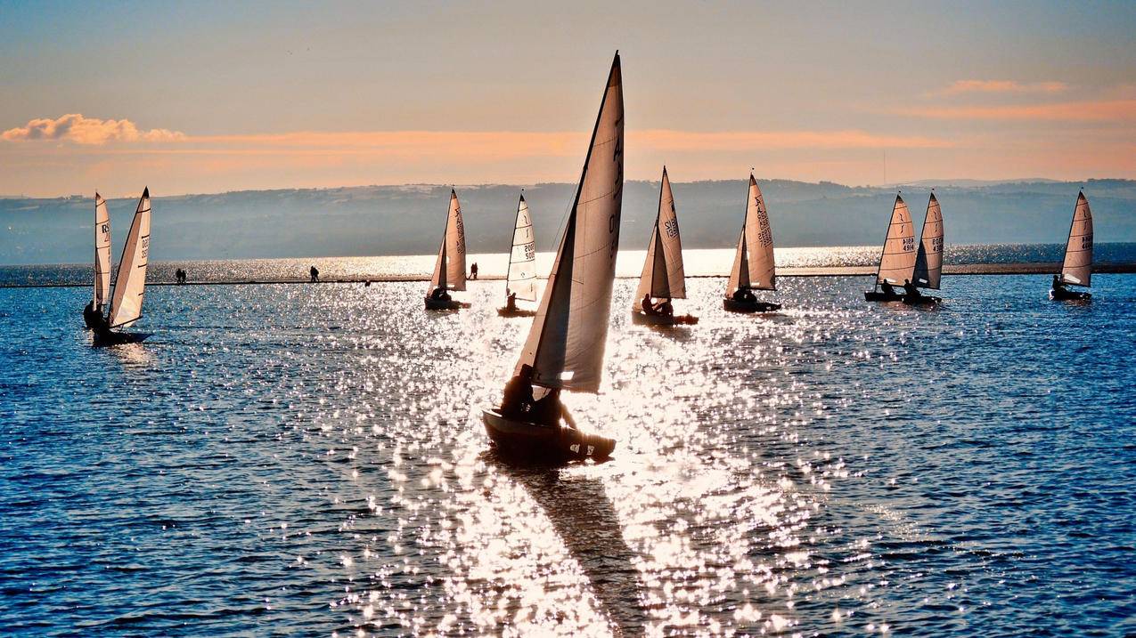 苹果下载东西时ID密码忘了怎么办 ， 苹果怎么更改apple id密码  - 55dz账号网