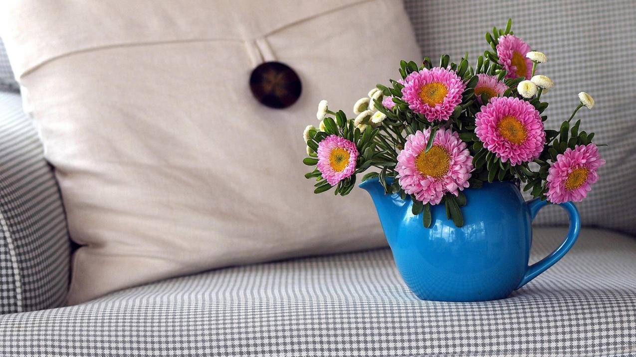 nba2k15麦迪动作设置_2k16麦迪动作设置 - IOS分享 - 55dz账号网