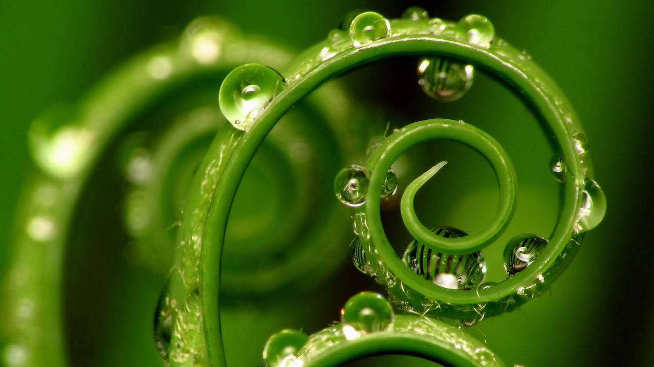 如何解除苹果账号绑定的支付宝账号 ， 怎么解除苹果id和支付宝的绑定?  - 55dz账号网