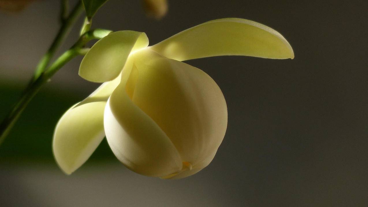 推特收藏的帖子看不到了_推特收藏的视频不见了 - tw相关 - 55dz账号网