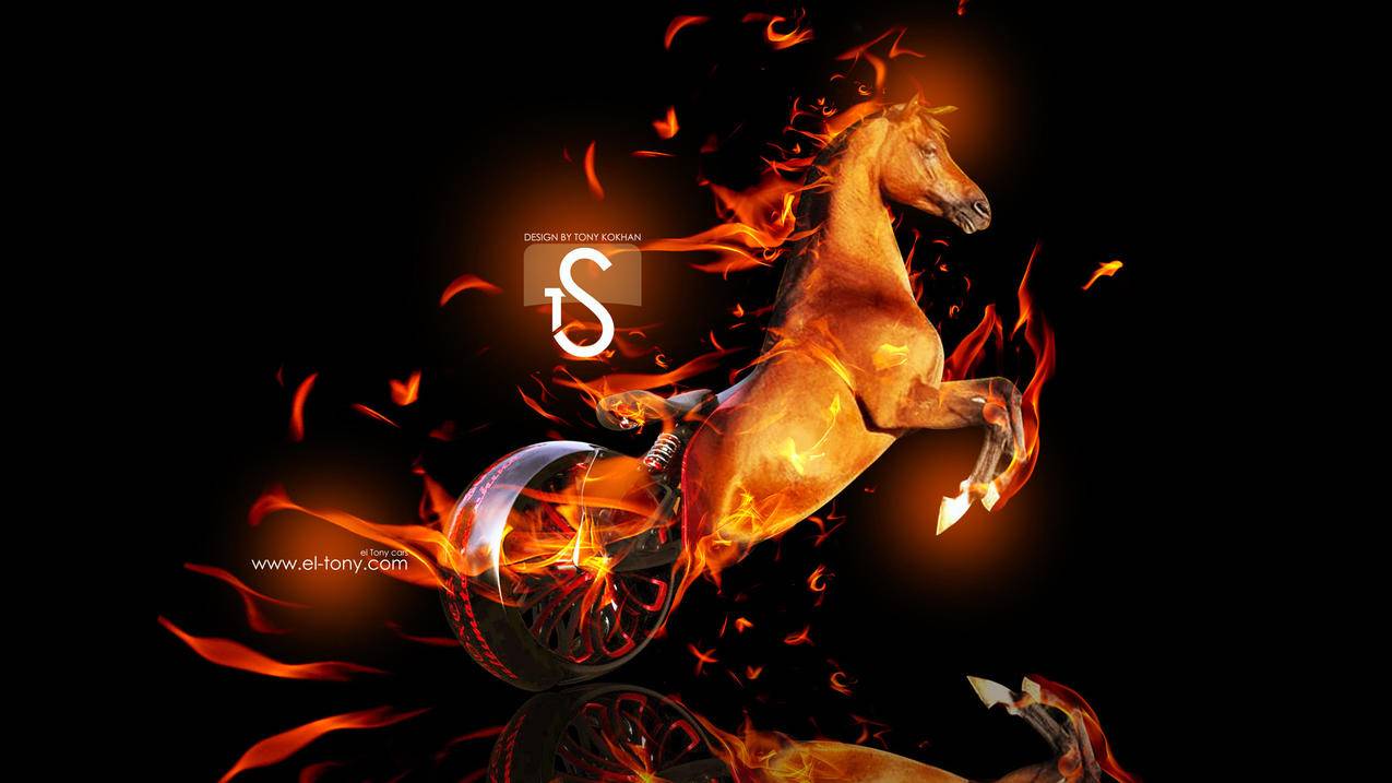 capcutdownloadfree的简单介绍 - capcut相关 - 55dz账号网