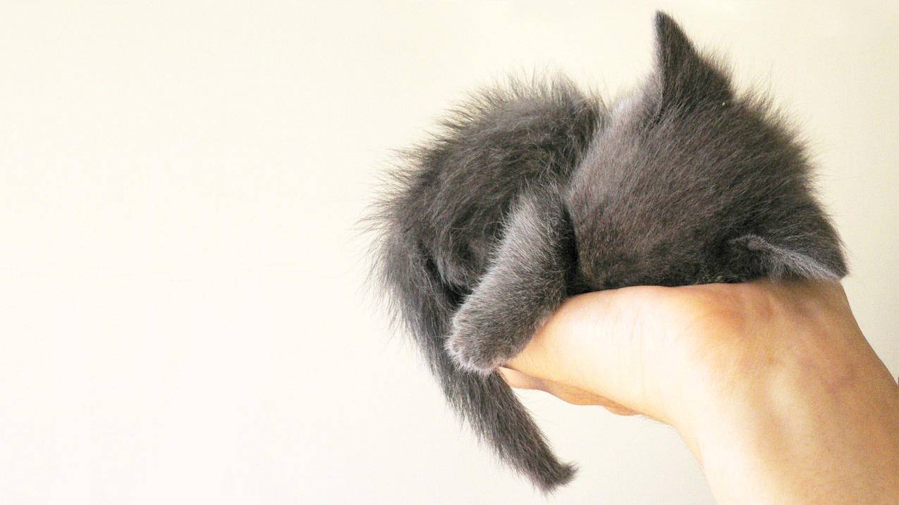 外国越南苹果id免费领取2022（越南苹果id注册） - 各区苹果ID - 55dz账号网