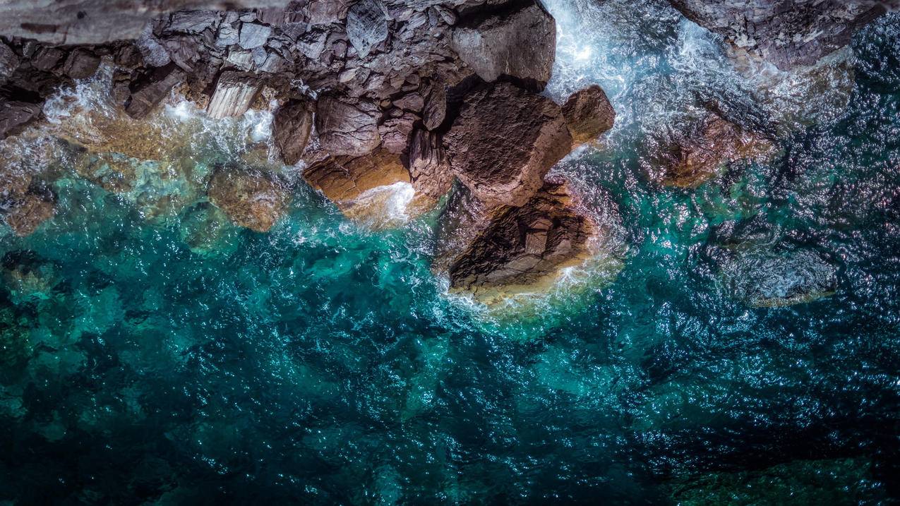 油管主播的生活2宏尼在哪_油管主播的生活怎么生孩子 - youtube相关 - 55dz账号网