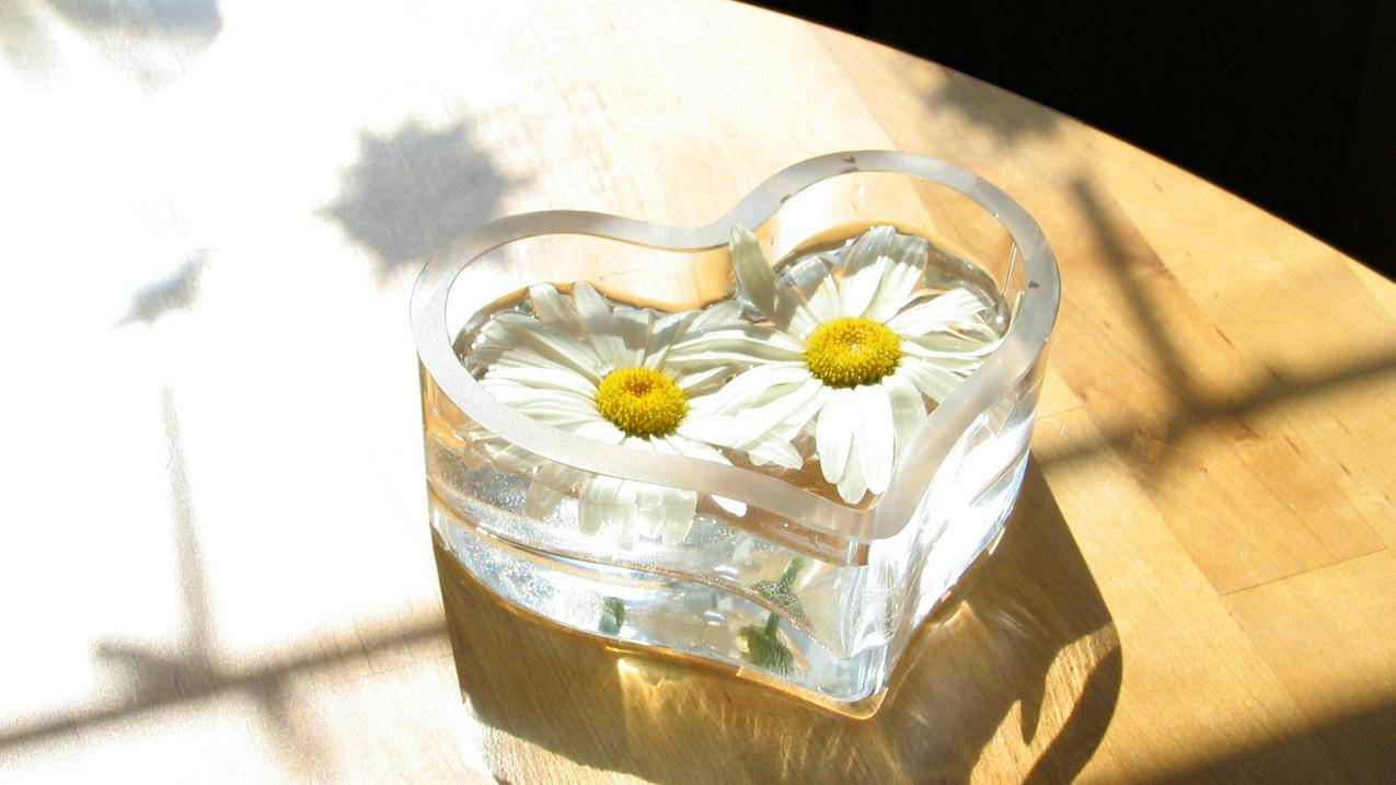 苹果id退出来再重新登录进去,数据不见了,,通讯录号码不见了,,求广大网友,,跪求  ( 苹果手机换id号后通讯录号码消失是怎么回事? ) - 55dz账号网