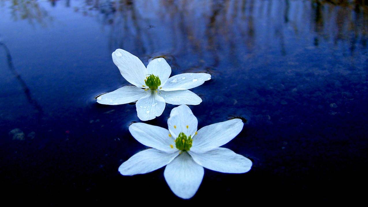 泰版流星花园男主ins涨粉_流星花园在泰国的剧照 - INS相关 - 55dz账号网