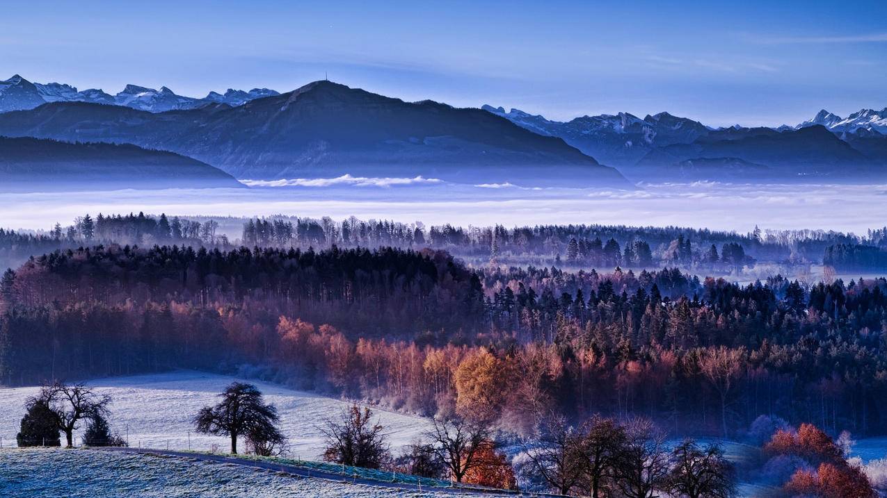 nba2kol2各球队主场地板_NBA2kol2球队地板 - IOS分享 - 55dz账号网