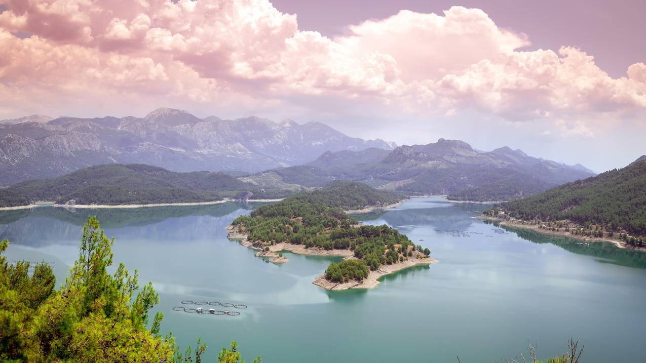 apple id免费分享,越南（越南苹果id共享） - 各区苹果ID - 55dz账号网