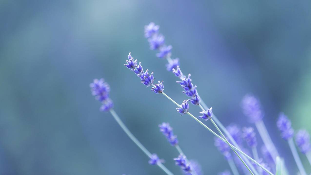 两部苹果手机登陆同一个id 一个改了密码 另一个还能登陆吗?求解答!谢谢! ， 如果两部苹果手机用同一个id密码,那么现在其中一部更改密码的话,另一部手机有影响吗,另一部有人用的?  - 55dz账号网