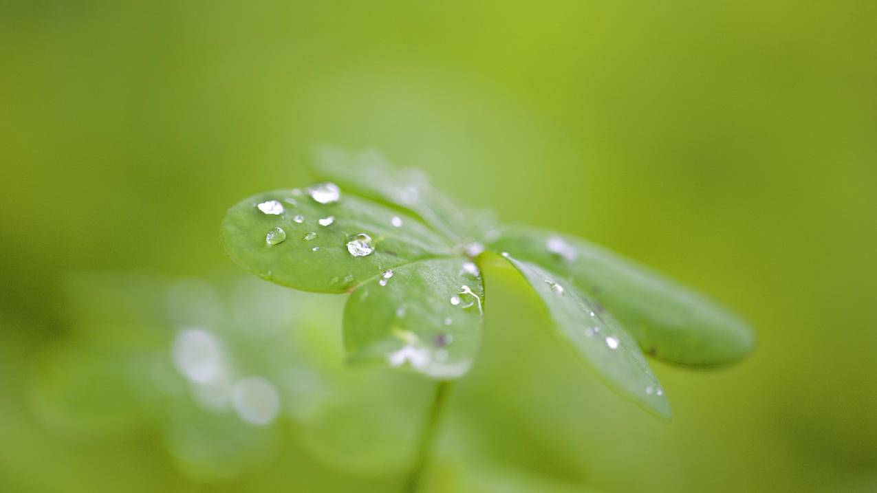 代刷网一元 - 免费领取快手粉丝1000,QQ代刷,小冬代刷网,卡盟排行榜