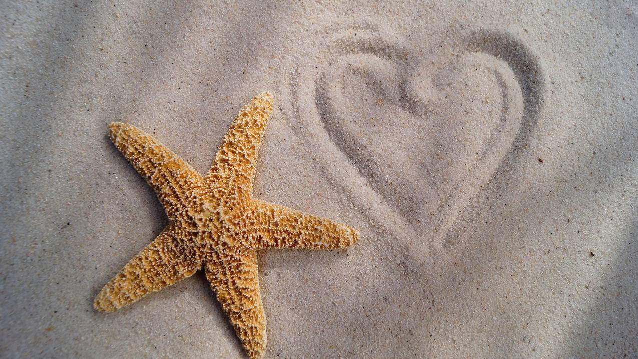 拼多多砍价卡盟平台-qq空间刷说说刷赞网站-qq刷赞软件大全2015,代刷网皮皮虾