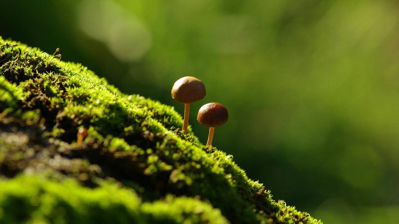 油管值得看的纪录片讲述对比_油管上好看的纪录片 - youtube相关 - 55dz账号网