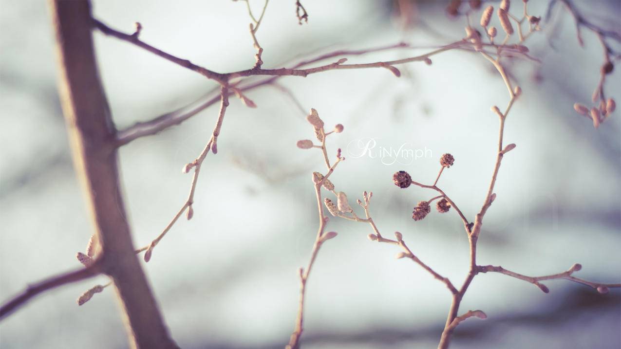 微信绑定qq号怎么找回密码_微信绑定号怎么找回密码 - 微信相关 - 55dz账号网