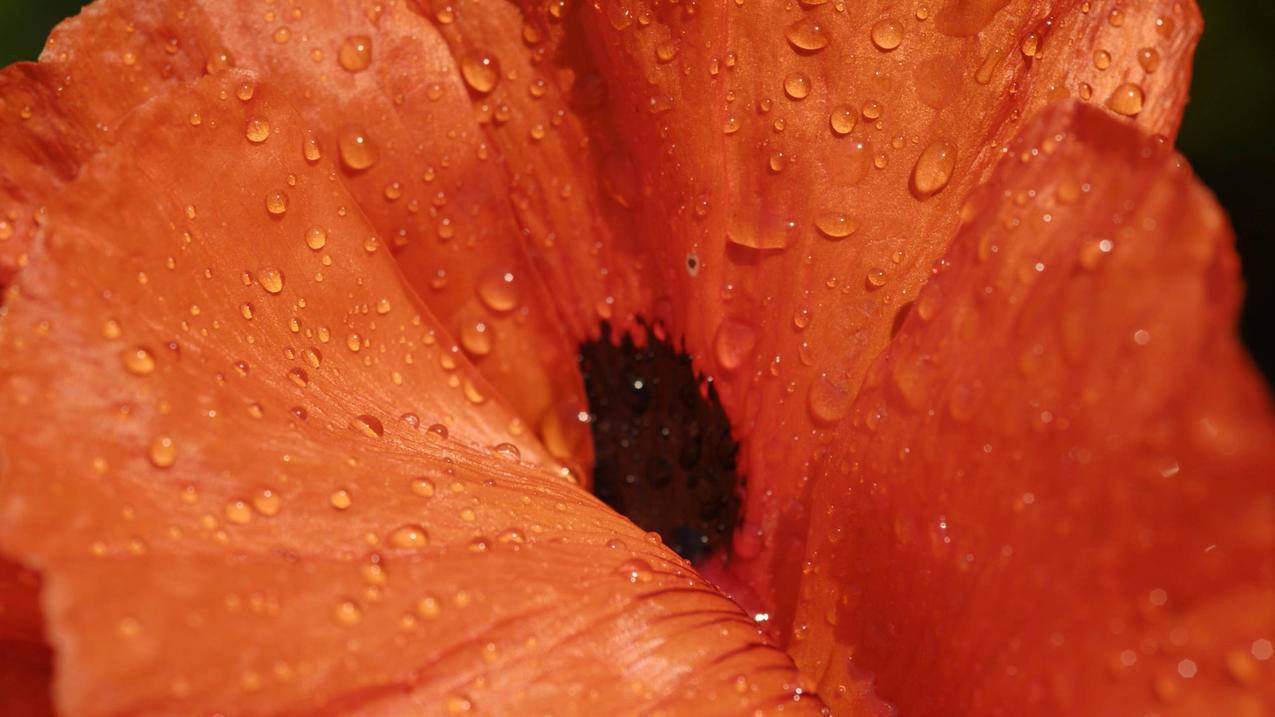 快手刷赞自助下单平台 - 免费领名片赞网站大全,快手涨播放量网站免费,QQ便宜刷赞平台,qq空间点赞购买便宜