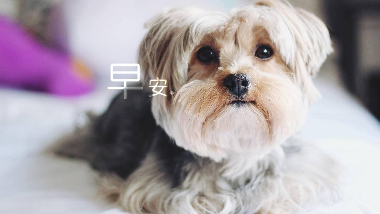 台湾appleid官网注册账号_台湾AppleID注册 - 台湾苹果ID - 55dz账号网