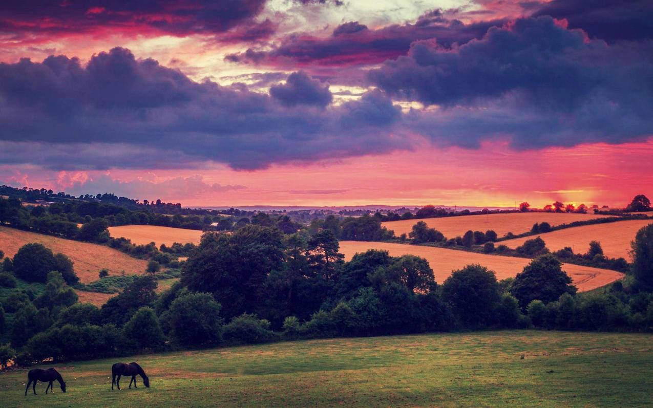 腾讯管家的小火箭去掉方法  ( 手机屏上出了两个小火箭图标,怎样删除掉。 ) - 55dz账号网