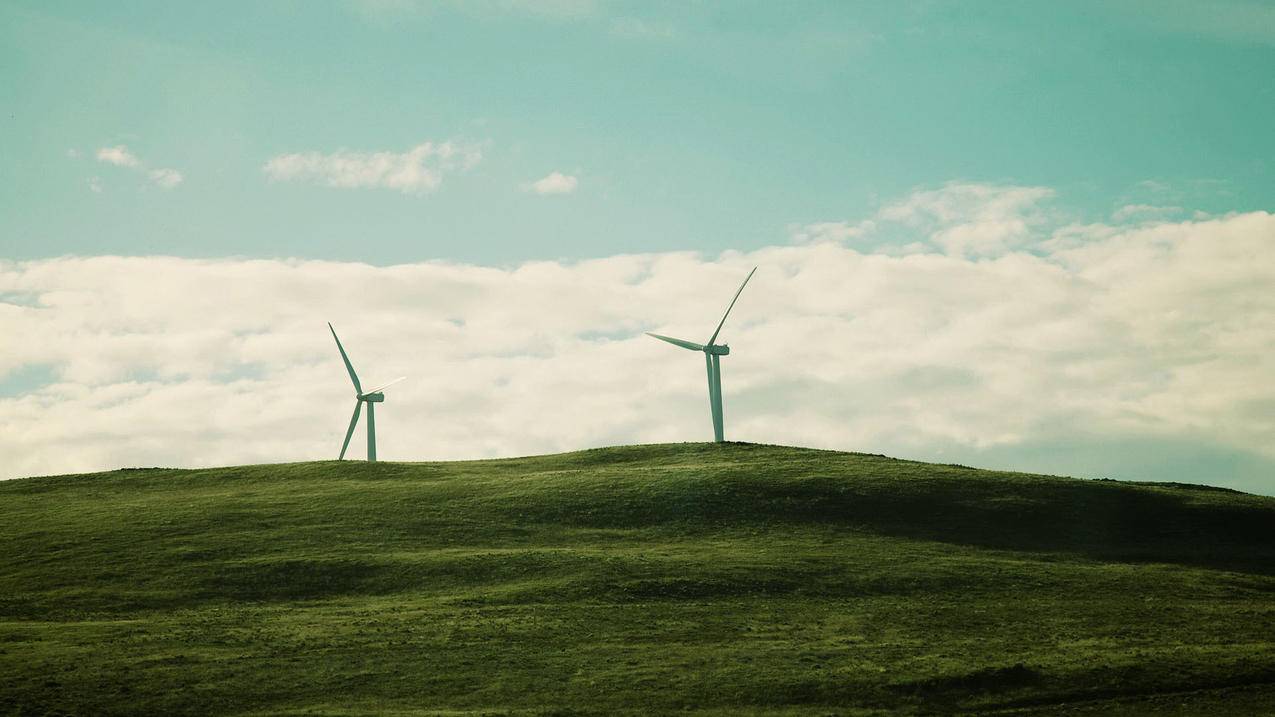 fifaonline4妖人套_fifaonline4 妖人 - Line相关 - 55dz账号网