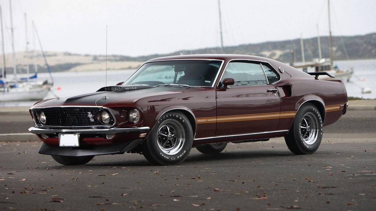 越南苹果id被盗用被盗刷如何处理 - 各区苹果ID - 55dz账号网