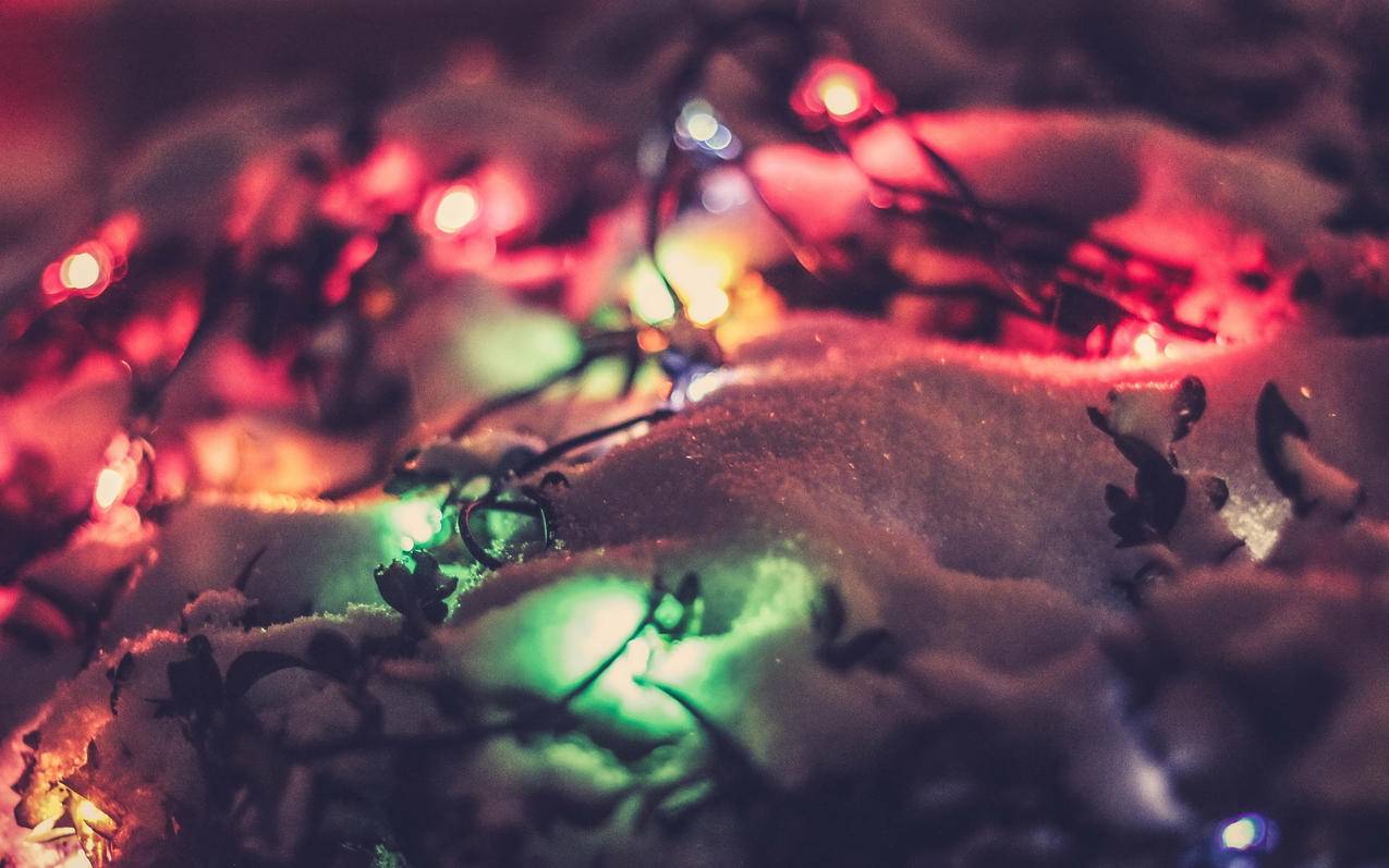 越南apple id怎么退出登录 - 各区苹果ID - 55dz账号网