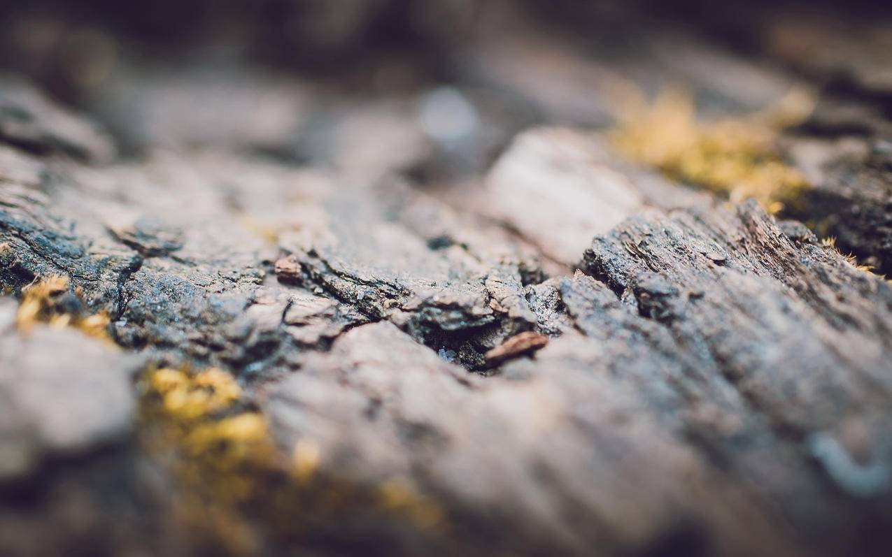 zoom固定视频画面_zoom 选定视频 - zoom相关 - 55dz账号网