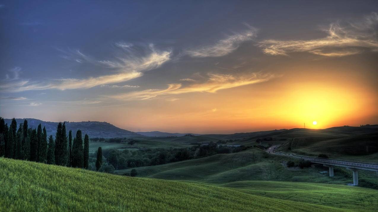 zoomwinflo6能短跑吗_耐克zoomwinflo6怎么样 - zoom相关 - 55dz账号网