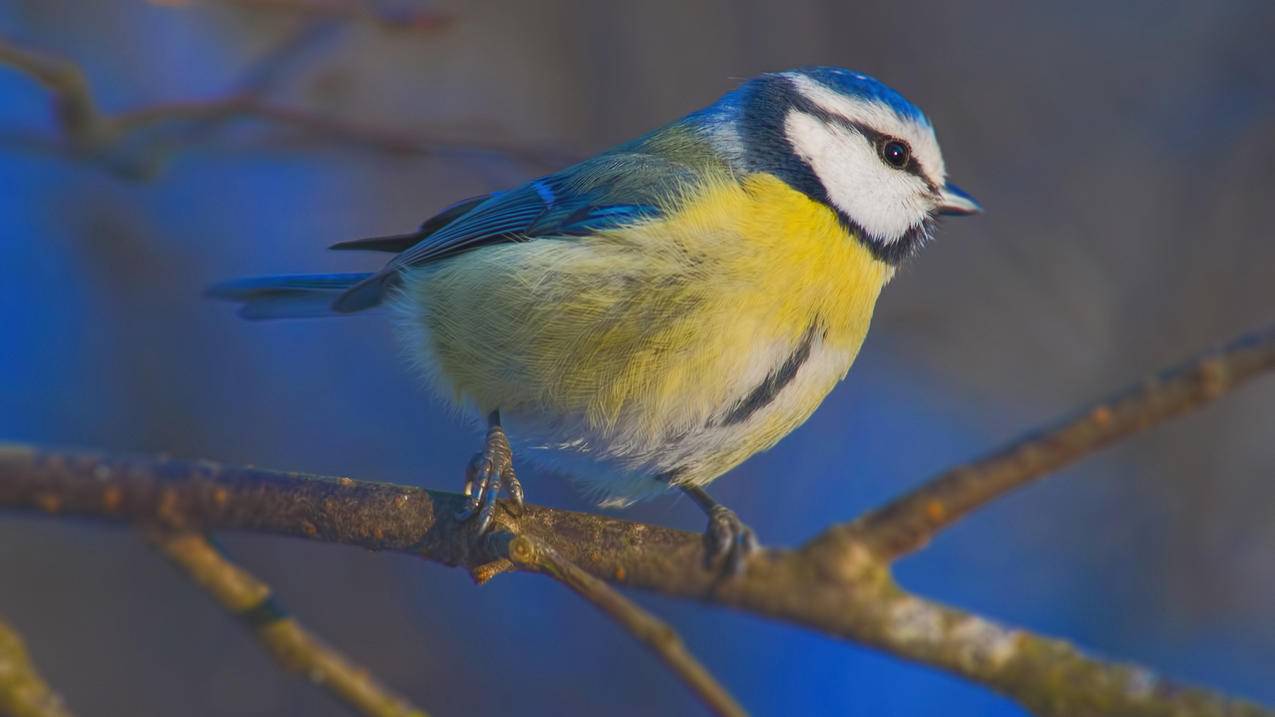节点信息_节点信息科技有限公司 - 注册外服方法 - 55dz账号网