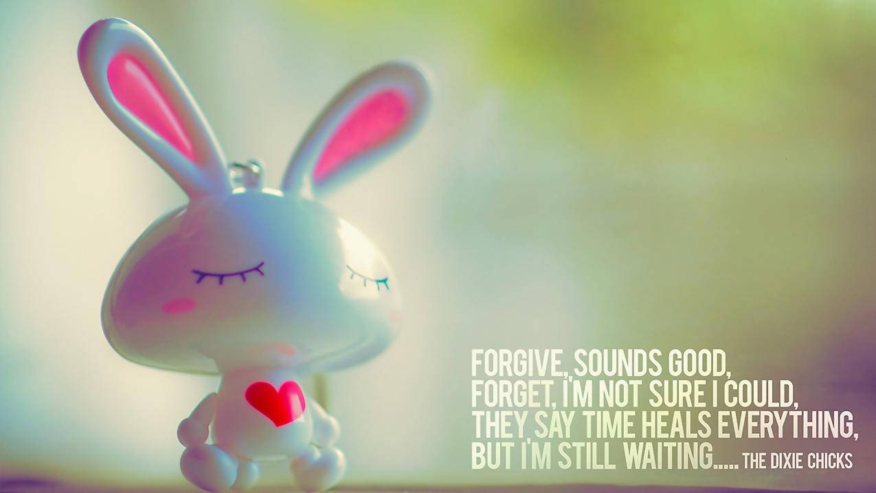 zoom放大别人屏幕_zoom视频怎么放大 - zoom相关 - 55dz账号网